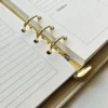 balto-planuoklio-ziedinis-mechanizmas-detale Šviesiai kreminio planuoklio vidinių puslapių detalė su lietuviškais užrašais ir aukso spalvos žiediniu mechanizmu.