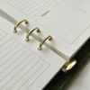 zalias-planuoklio-virselis-vidus-ziedai Planuoklio vidinio puslapio detalė su lietuviškais užrašais ir aukso spalvos žiediniu mechanizmu.